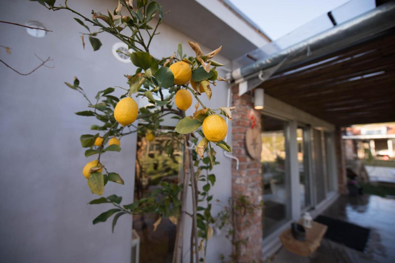 Sinanis Garden House Apartment Volos Luaran gambar